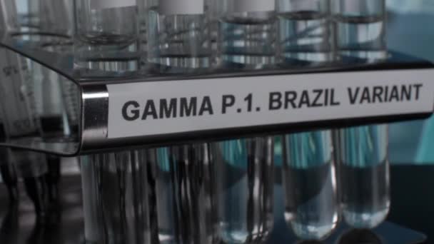 Gamma Brazil Variant Test Tube Sample Vials Rack Tilt Close — Αρχείο Βίντεο