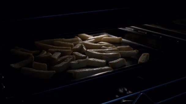 Golden Yellow Brown Oven Chips Tray Oven Locked — Stock Video