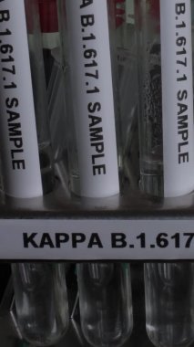 Kappa B.1.617.1 Test Tüpü Örnekleri Sıraya. Pan Up, Dikey Video, Kapat