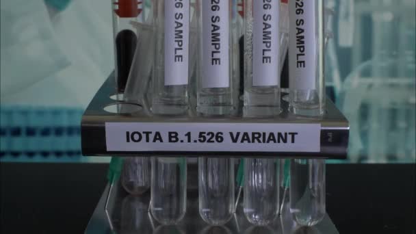 Lota 526 Test Tüpü Örnekleri Raftan Kaldırılıyor Kapat Kapalı — Stok video