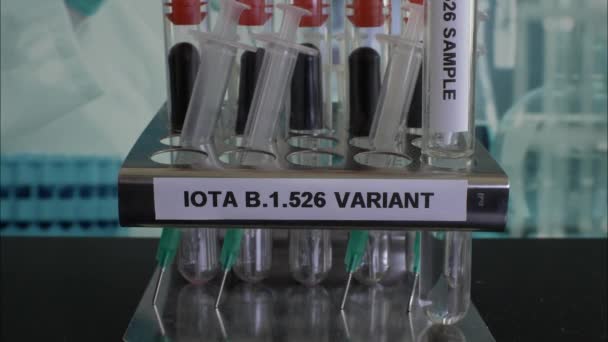Iota 526 Test Tube Sampel Yang Ditempatkan Rack Tutup Kunci — Stok Video