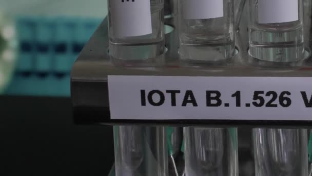 Iota 526 Test Tube Sampel Yang Ditempatkan Rack Lambat Kanan — Stok Video