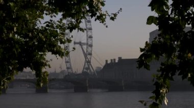 Londra 'nın Gözü ve Köprüsü, Londra' nın Sabah Güneşinin Pusları sırasında ağaçların arasından görülüyor. Statik Çekim, Kurulum Çekimi