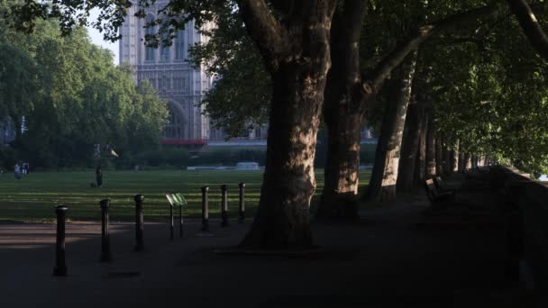 Morning Sunrise View Benches Thames Victoria Tower Gardens Park London — Vídeos de Stock