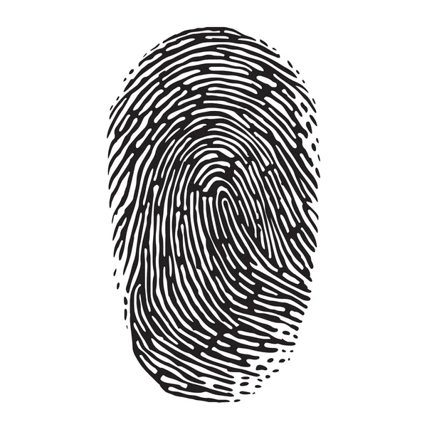 Fingerprint — Stock Vector