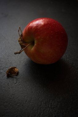 Kuru dallı ve kuru yapraklı izole edilmiş sarı-kırmızı bir elma, siyah desenli bir arka planda yatıyor ve doğal ışıkla aydınlatılıyor. Ürün sunumu, tasarımı, şablonu, posterleri ve duvar kağıtlarını kaplamak için yaratıcı bir konsept. Minimalizm.