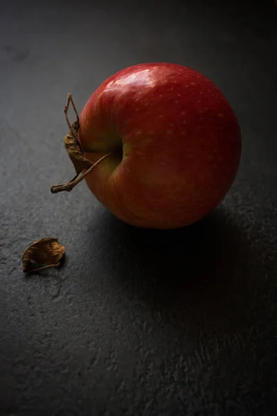 One isolated yellow-red apple with dry branch and dry leaf, lying on a black textured background and illuminated by natural light. Creative concept for overlay on product presentation, layout, template, posters and wallpapers. Minimalism.