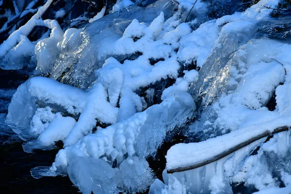 Barrage Castors Sur Rivière Sinetulitsa Dans Région Tula — Photo