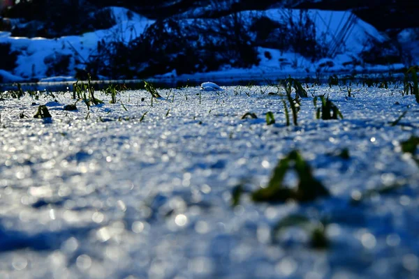 Les Cristaux Glace Dans Rivière Être Vrai Bleu Dans Région — Photo