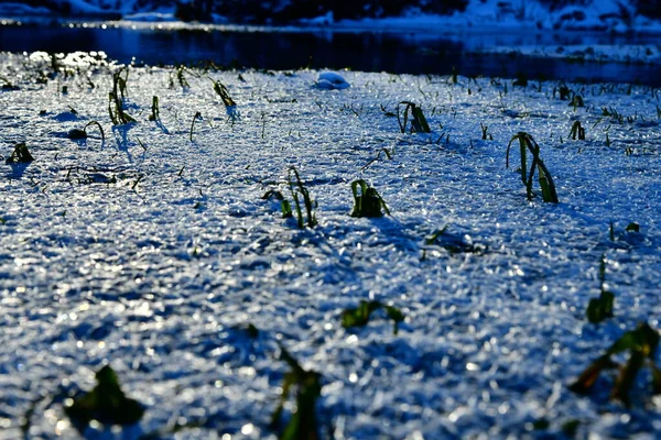 川の氷の結晶はトゥーラ地方の真の青 — ストック写真