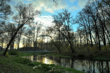 Nehirden sarkan sonbahar ağaçları