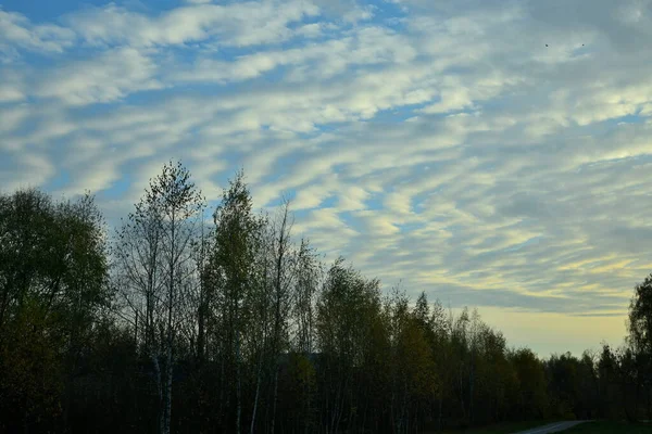 Ασυνήθιστα Σύννεφα Στον Ουρανό Βράδυ — Φωτογραφία Αρχείου