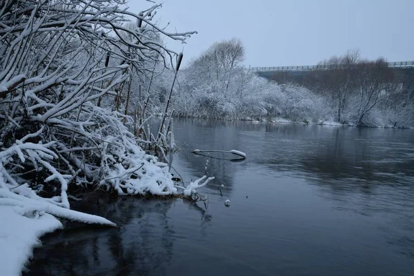 Schneebedeckte Büsche Spiegeln Sich Während Eines Schneefalls Der Nähe Der — Stockfoto