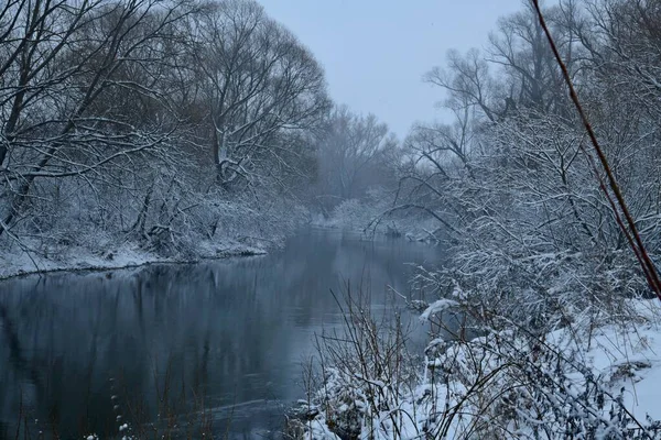 Schneebedeckte Bäume Spiegeln Sich Während Eines Schneefalls Fluss Upa — Stockfoto