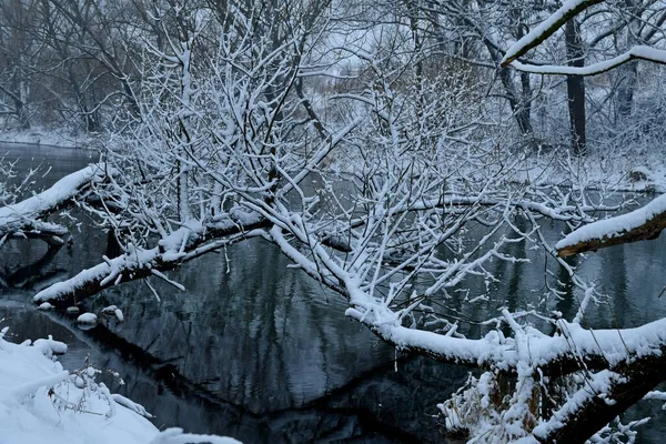 Sněhem Pokryté Keře Odrážejí Řece Upa Během Sněžení — Stock fotografie