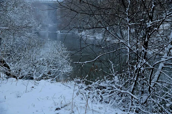 Χιονισμένοι Θάμνοι Αντανακλώνται Στον Ποταμό Upa Κατά Διάρκεια Χιονιού Κοντά — Φωτογραφία Αρχείου