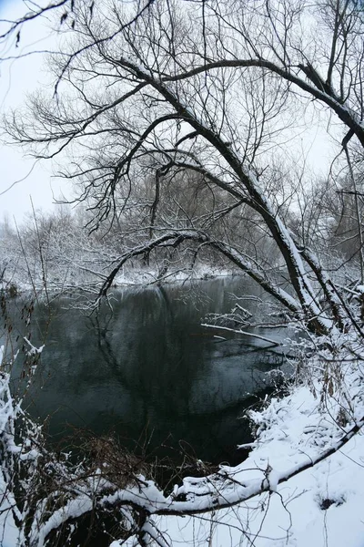 Schneebedeckte Bäume Spiegeln Sich Während Eines Schneefalls Fluss Upa — Stockfoto