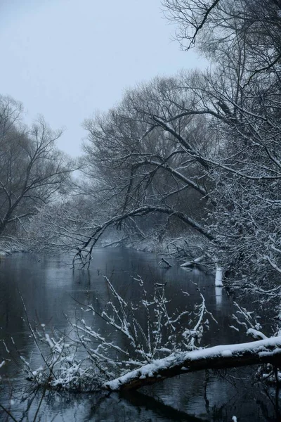 Schneebedeckte Bäume Spiegeln Sich Während Eines Schneefalls Fluss Upa — Stockfoto