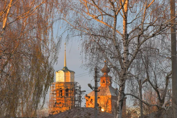 Zicht Restauratie Van Kerk Door Takken Van Berkenbomen — Stockfoto