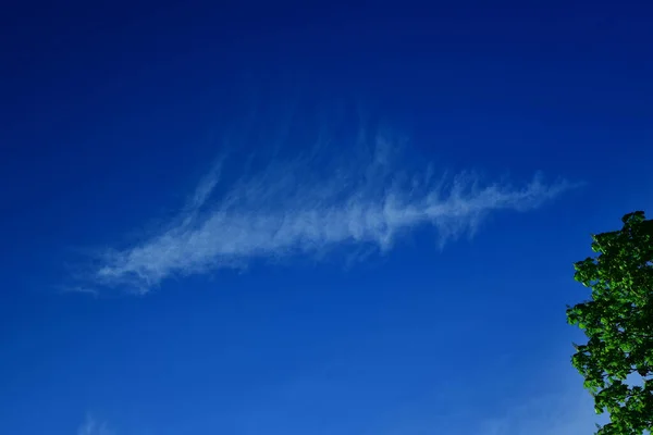 Eine Wolke Die Aussieht Wie Eine Vogelfeder — Stockfoto