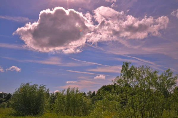 Eine Leichte Wolke Über Dem Sommerwald — Stockfoto