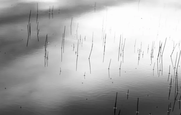 Meditace jezero — Stock fotografie