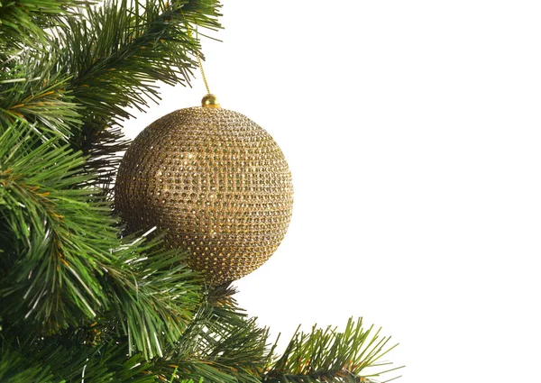 Golden ball on the Christmas tree branch Stock Picture