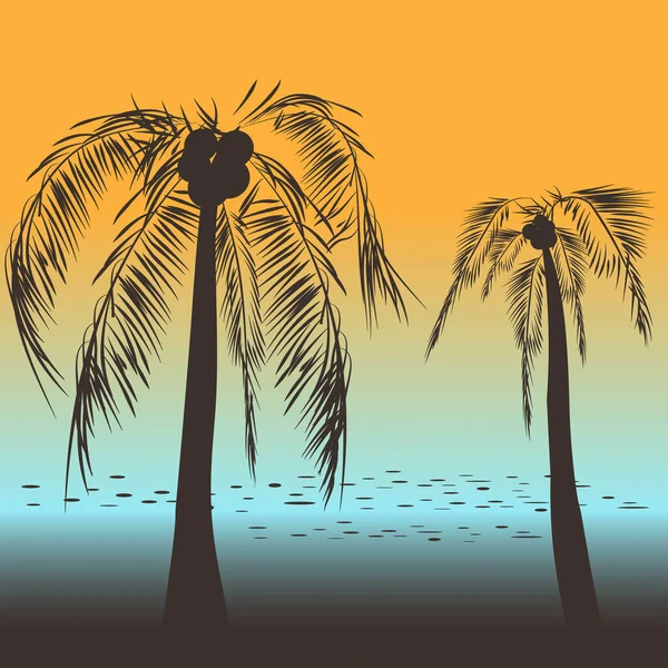 Vector Illustratie Kust Strand Teken Realistische Silhouetten Van Palmbomen Ontwerp — Stockvector