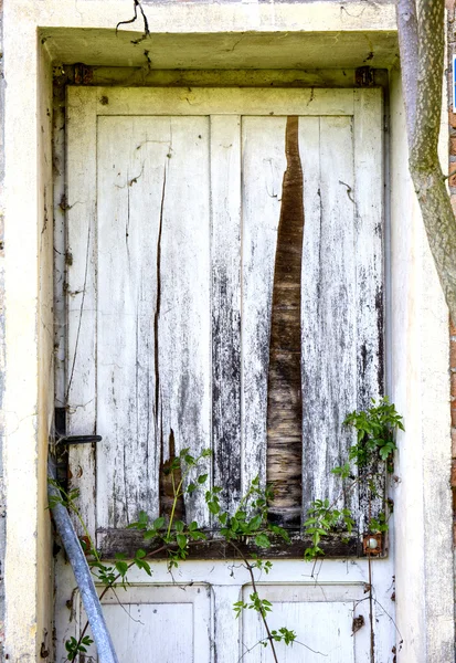 Stare drzwi opuszczony dom — Zdjęcie stockowe