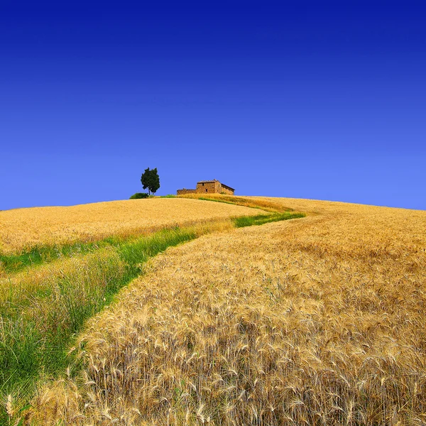 The hill of loneliness Royalty Free Stock Images