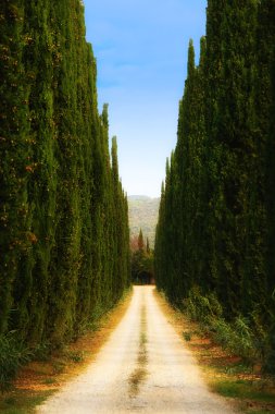 Tuscan avenue