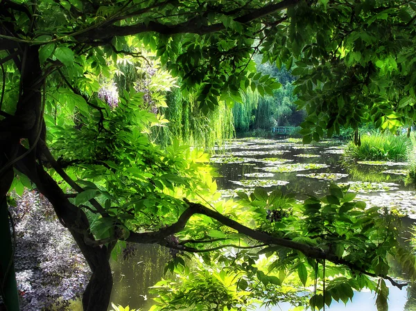 클로드 모네의 정원, 지 베 르 니, 프랑스 — 스톡 사진