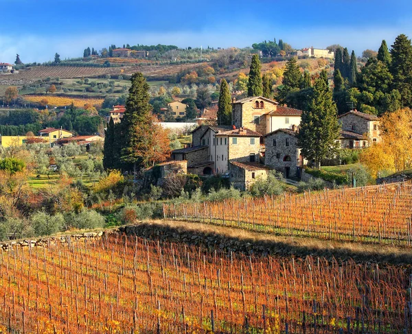 Tuscan landscape with vineyards Stock Photo