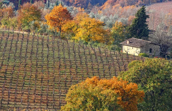 Tuscan 별장 — 스톡 사진
