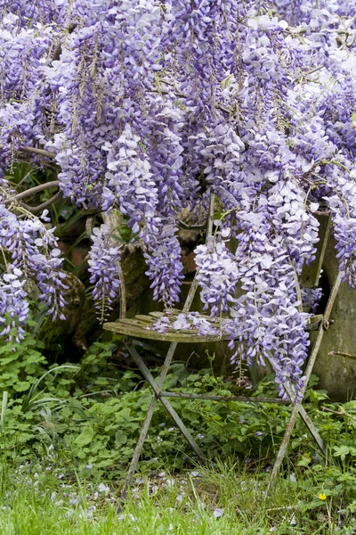 Jardín secreto — Foto de Stock