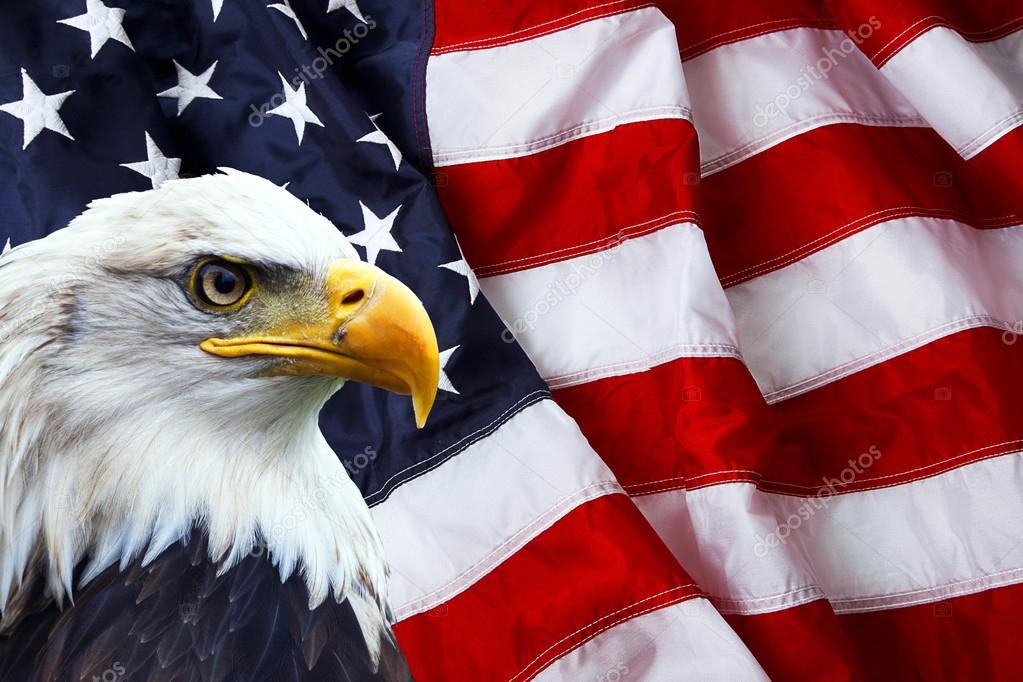Aguila bandera fotos de stock, imágenes de Aguila bandera sin royalties |  Depositphotos