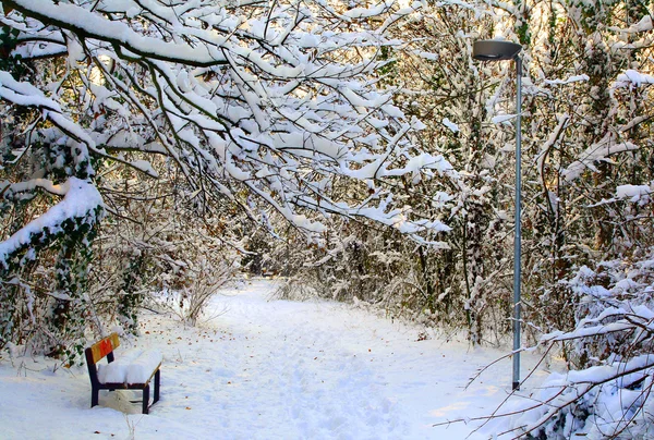 Winter im Park — Stockfoto