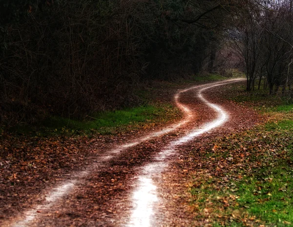 Strada di campagna — Foto Stock