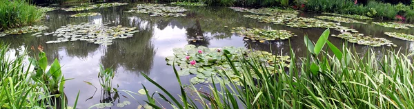 Panorama av Claude Monets trädgårdar, Giverny, Frankrike — Stockfoto