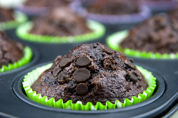Muffin appena sfornati con gocce di cioccolato — Foto Stock