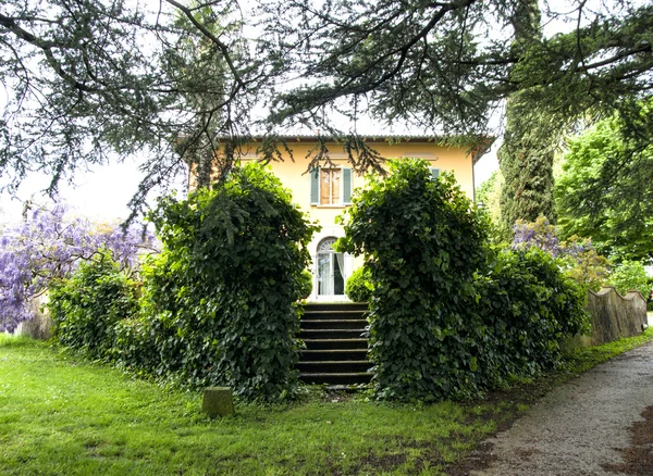 Krásný venkovský dům v Toskánsku s velkým závodem wisteria — Stock fotografie