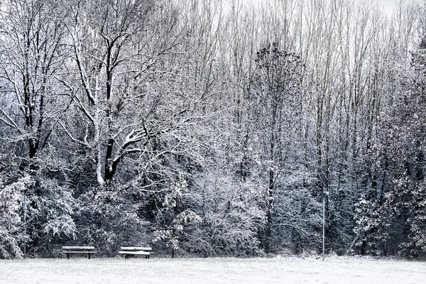 Winter in a park. Isolated benches — Stock Photo, Image
