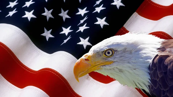 Північноамериканська білоголовий орлан на американський прапор — стокове фото
