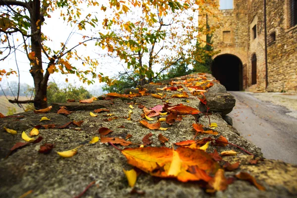 Estrada de entrada para o castelo no outono — Fotografia de Stock