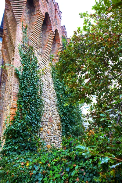 Eski kalenin duvarları ile yeşil sarmaşık