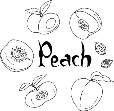 Şeftali ve incir şeftalileri.