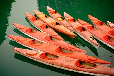 Kayaks in the water clipart