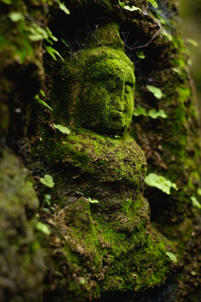 Buddha statue covered by moss in ancient temple — Stock Photo, Image