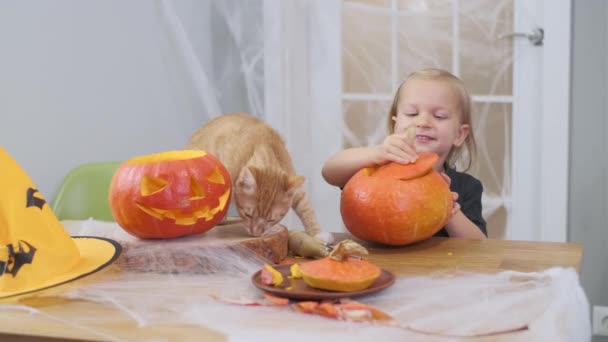 Förälder Med Barn Ristar Halloween Pumpa — Stockvideo