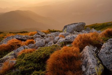 Carpathian mountain range autumn time at sunset